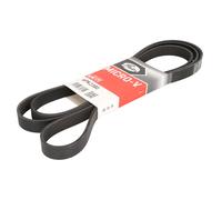 Correa poly V GATES 6PK2380