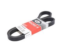 Correa poly V GATES 6PK2448