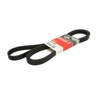 Correa poly V GATES 6PK2585