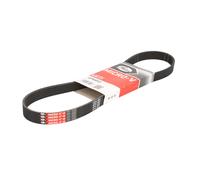 Correa poly V GATES 6PK893