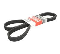 Correa poly V GATES 7DPK1880
