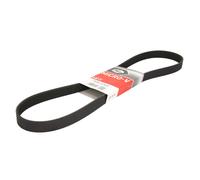 Correa poly V GATES 7PK1243