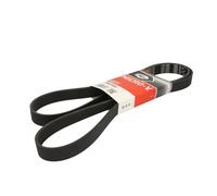 Correa poly V GATES 7PK1800