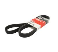 Correa poly V GATES 7PK2060