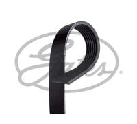 Correa poly V GATES 7PK2300
