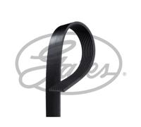 Correa poly V GATES 8PK1614HD