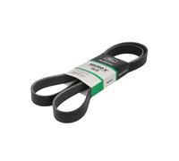 GATES 8PK1648HD Correa trapecial poli V negro