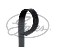 Correa trapezoidal acanalada 9PK1910HD GATES