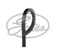 Correa poly V GATES AVX13X1700HD