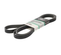 GATES CB0004 Correa trapecial poli V negro