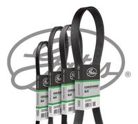 Correa poly V GATES CB0048