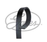 Correa poly V GATES GAT6PK2193
