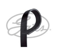 Correa poly V GATES GAT7PK990