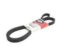 Correa poly V GATES K061015