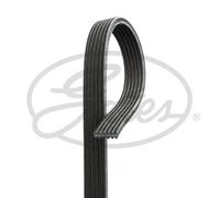 Correa poly V Micro-V GATES 6DPK2184