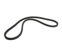 Correa poly V OPTIBELT 1000226AP