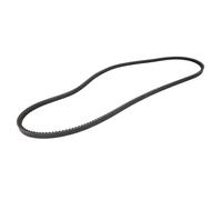 Correa poly V OPTIBELT BX79 17X2040