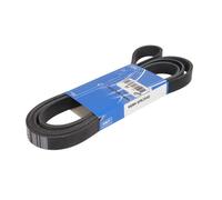 SKF VKMV 6PK2545 Correa trapecial poli V