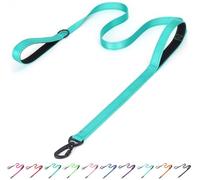 Correa reflectante de nailon para perro, acolchada de dos asas, ideal para entrenamiento nocturno (verde azulado, ideal para perros de raza pequeña, mediana y grande}