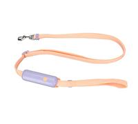 Correa Retráctil para, Nylon Multifuncional, con Hebilla Ajustable y Asa Colgante - Control Cómodo y Seguro, Ideal para Paseos Diarios de Perros Pequeños y Medianos (Púrpura)