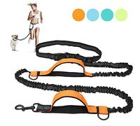 Correa retráctil para perro manos libres con cuerdas elásticas dobles para correr, caminar, entrenar, senderismo, cinturón de cintura ajustable, asas acolchadas, costuras reflectantes para perros