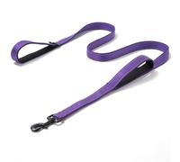 Correa retráctil para Perros, Correa for Perros con Doble asa, Acolchada y Reflectante, Resistente, Cuerda for(Purple,2.5cm 150cm)