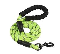 Correa retráctil para Perros, Correa for Perros Grande de 2 m/3 m/5 m, Redonda, Nailon, 1, cm diámetro, con Cuerda Reflectante, for pasear(Green,1.2cm x 500cm)