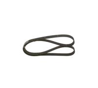 Correa Trapecial Poli V Bosch 1987947960 para Audi Chrysler Gmc Mercedes Benz VW