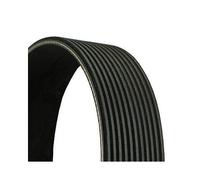 Correa Trapecial Poli V Continental Ctam 11PK2871 para Mercedes Benz