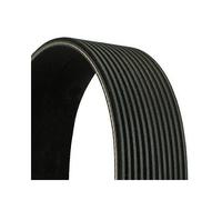 Correa Trapecial Poli V Continental Ctam 12PK1815 para Iveco
