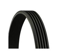Correa Trapecial Poli V Continental Ctam 5PK1530 para Man