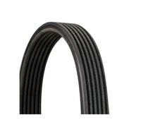 Correa Trapecial Poli V Continental Ctam 6DPK1697 para Bmw