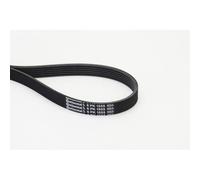 Correa Trapecial Poli V Continental Ctam 6PK1555 para Audi Bmw Ford Opel Porsche
