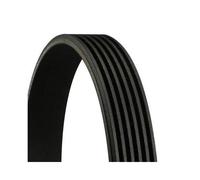 Correa Trapecial Poli V Continental Ctam 6PK2535 para Audi Mercedes Benz VW