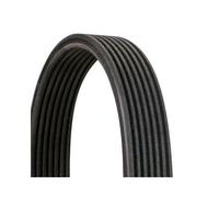 Correa trapezoidal acanalada 7DPK1884 CONTINENTAL CTAM para BMW X5 X6 7 5