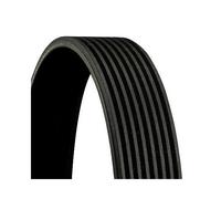 Correa Trapecial Poli V Continental Ctam 8PK2000 para Mercedes Benz Scania