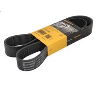 Correa trapecial poli V CONTITECH 10PK1300 para MAN LION´S CITY 6.871 2004-2009