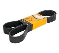 Correa trapecial poli V CONTITECH 10PK1545 VOLVO FH 12.777 2005-