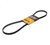 Correa trapecial poli V CONTITECH 4PK1119 ELAST para SUNNY III 1.6 1992-1995