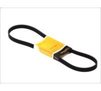 Correa trapecial poli V CONTITECH 5PK1140 CITROEN XM (Y3) 2 1989-1994