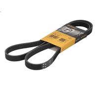 Correa trapecial poli V CONTITECH 5PK1441 para SPRINTER 4-t Furgoneta 2.2 2018-