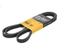 Correa trapecial poli V CONTITECH 5PK1960 para GLC (X253) 2 2019-2022