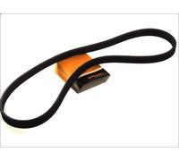 Correa trapecial poli V CONTITECH 6DPK1195 para AUDI TT (8N3) 1.8 1998-2006