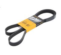 Correa trapecial poli V CONTITECH 6PK1680 para JUMPY I (U6U_) 1.9 1998-2003