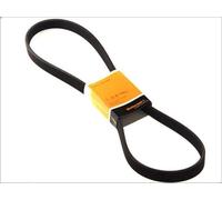 Correa trapecial poli V CONTITECH 7DPK2074 para AUDI Q7 Van (4LB) 3.6 2006-2010