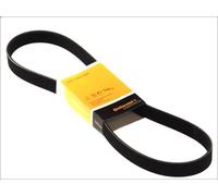 Correa trapecial poli V CONTITECH 7PK1705 DAF 85 CF 12.58 1998-2
