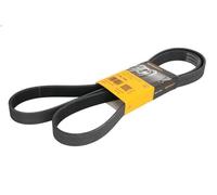 Correa trapecial poli V CONTITECH 7PK1795 para LAGUNA II (BG0/1_) 2 2002-2006