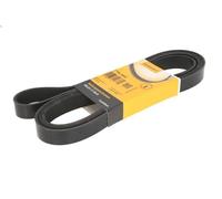 Correa trapecial poli V CONTITECH 7PK2682 para TRANSIT Autobús 2.4 2006-2014