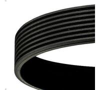 Correa trapecial poli V CONTITECH 8PK1440 para FM10 9.6 1999-2001