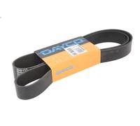 Correa trapecial poli V DAYCO 10PK1494HD para ATEGO 4.249 1998-2004